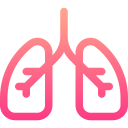 pulmones icon