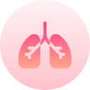 pulmones icon