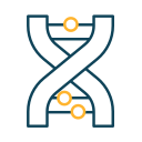 estructura del adn icon