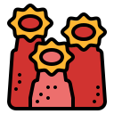 coral icon