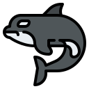 orca