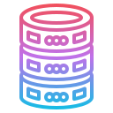 base de datos 