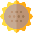 girasol icon