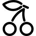 cereja 