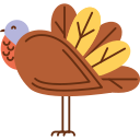 pavo icon