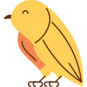 uccello icona