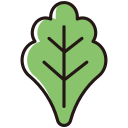 vegetal icon