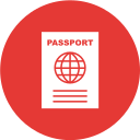 pasaporte icon