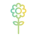 girasol icon