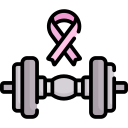 cinta rosa icon