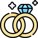 anillo icon