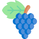 uvas icon