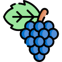 uvas icon