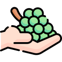 uvas icon