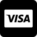 visa icon