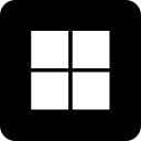 Microsoft icon