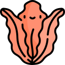 alga roja icon