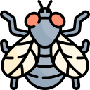 mosca icon