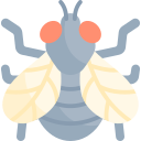 mosca icon