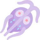 giardia icon