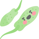 euglena icon