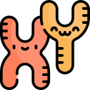 cromosoma icon