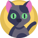 gato negro icon