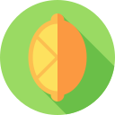 limón icon