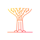 Árbol icon