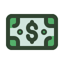 dinero icon