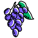 uvas icon