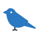 pájaro icon