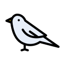 pájaro icon