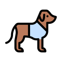 perro icon