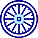 ashoka icon