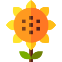 girasol icon