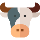 vaca icon