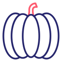 calabaza icon