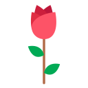 rosas