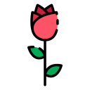 rosas icon