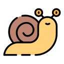 caracol