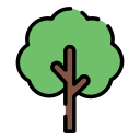 Baum speichern PNG