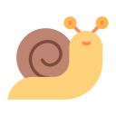 caracol