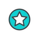 estrella icon