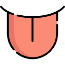 lengua icon