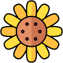 girasol