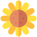 girasol