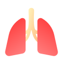 pulmones icon