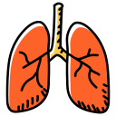 sistema respiratorio icon