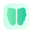 cerebro icon